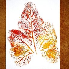 Otisk listu dýně Zdroj: sevt.cz