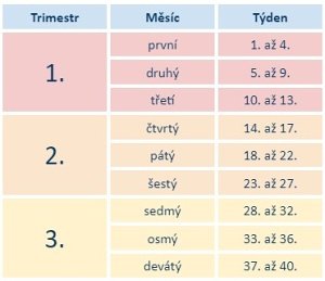 Jak se počítají měsíce těhotenství