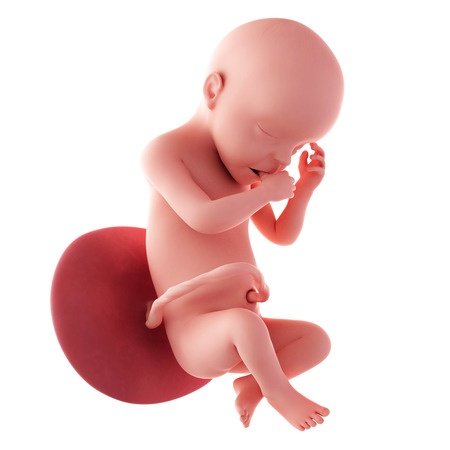 30. týden těhotenství