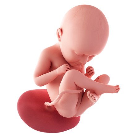 35. týden těhotenství