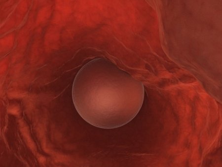 Menstruace v těhotenství