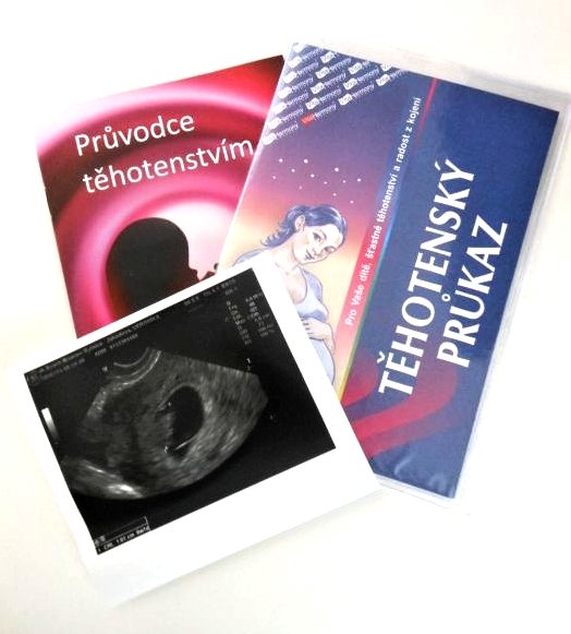 Těhotenská průkazka