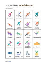 Pracovní list - slovní zásoba - znáš zimní sporty