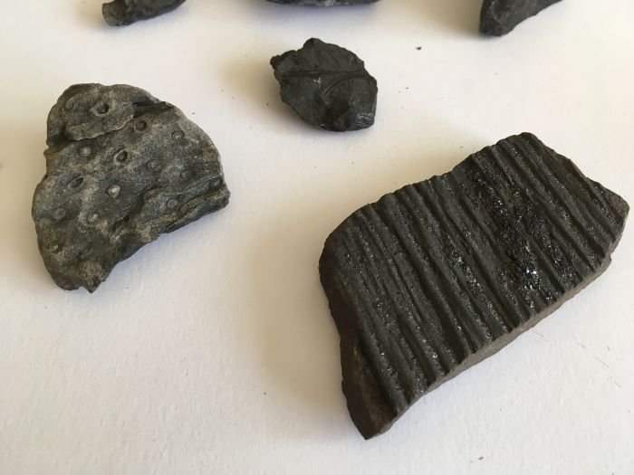 Tip na výlet - Halda dolu Paskov