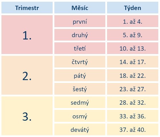 Trimestry těhotenství